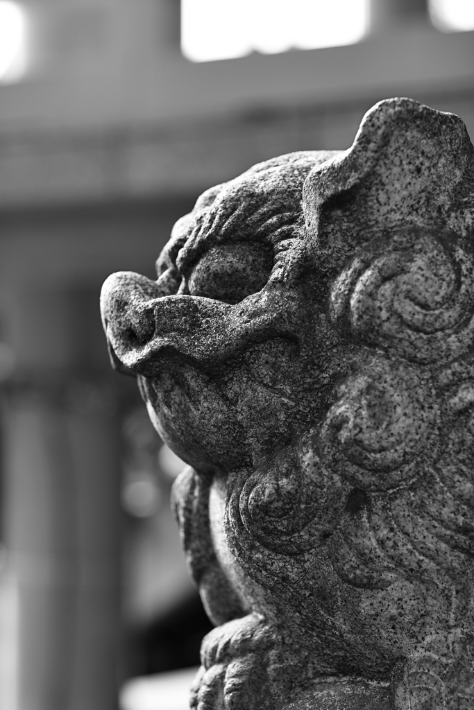 街角散策　狛犬