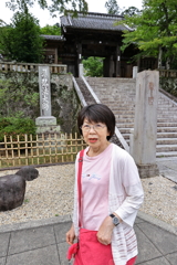 梅雨時期の旅行　修禅寺