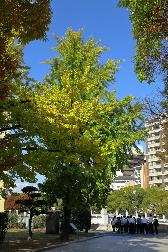 平和公園の紅葉
