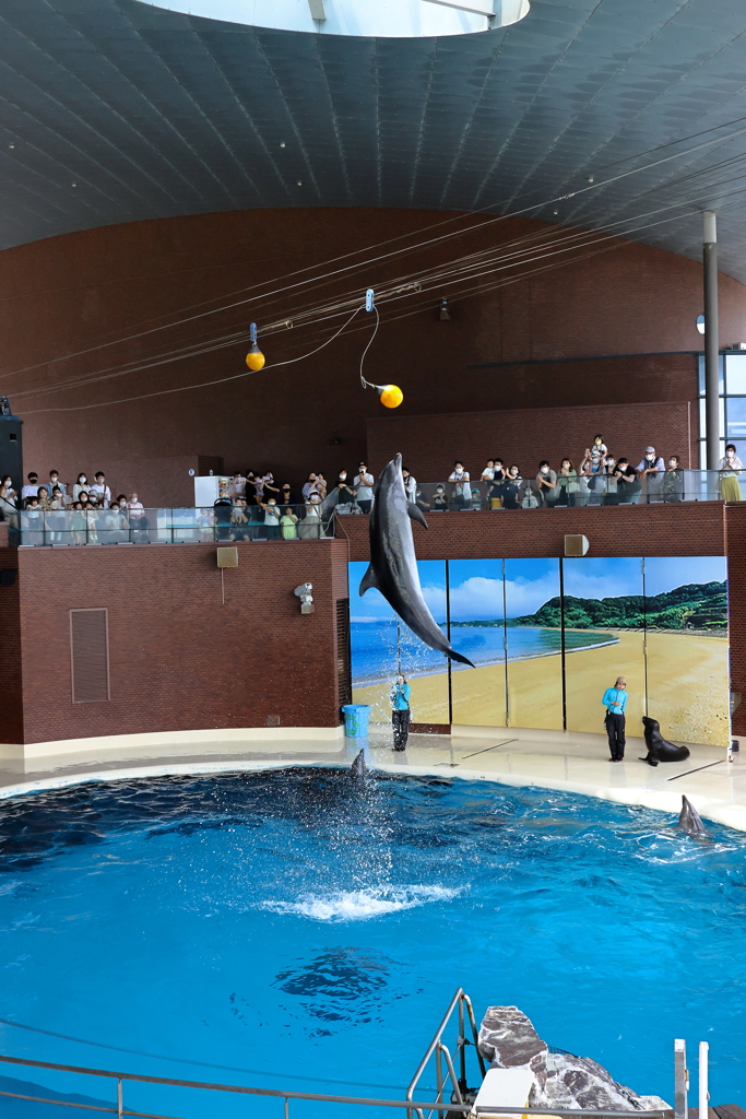 市立しものせき水族館　海響館
