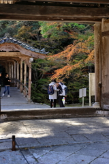 佛通寺