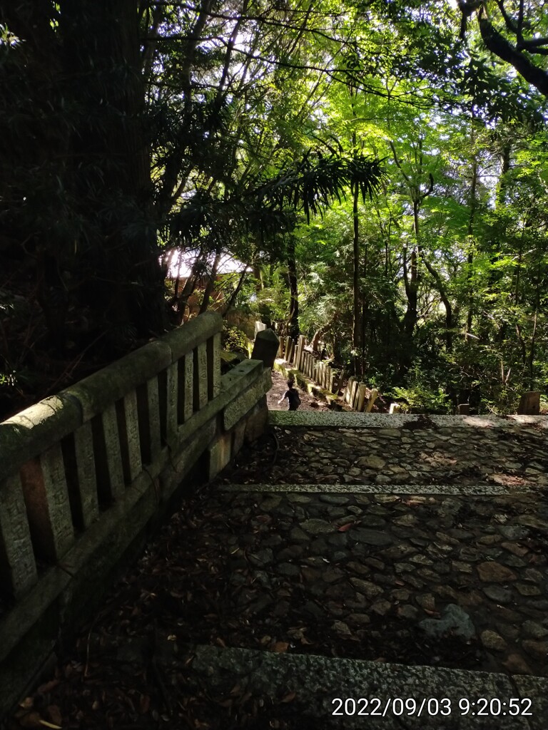 登山道