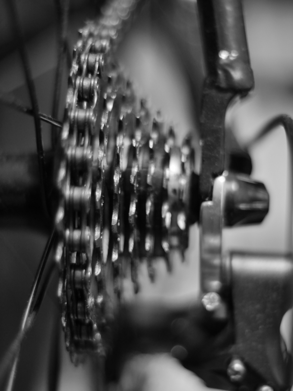 roadbike's sprocket