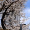 ホテルとさくら