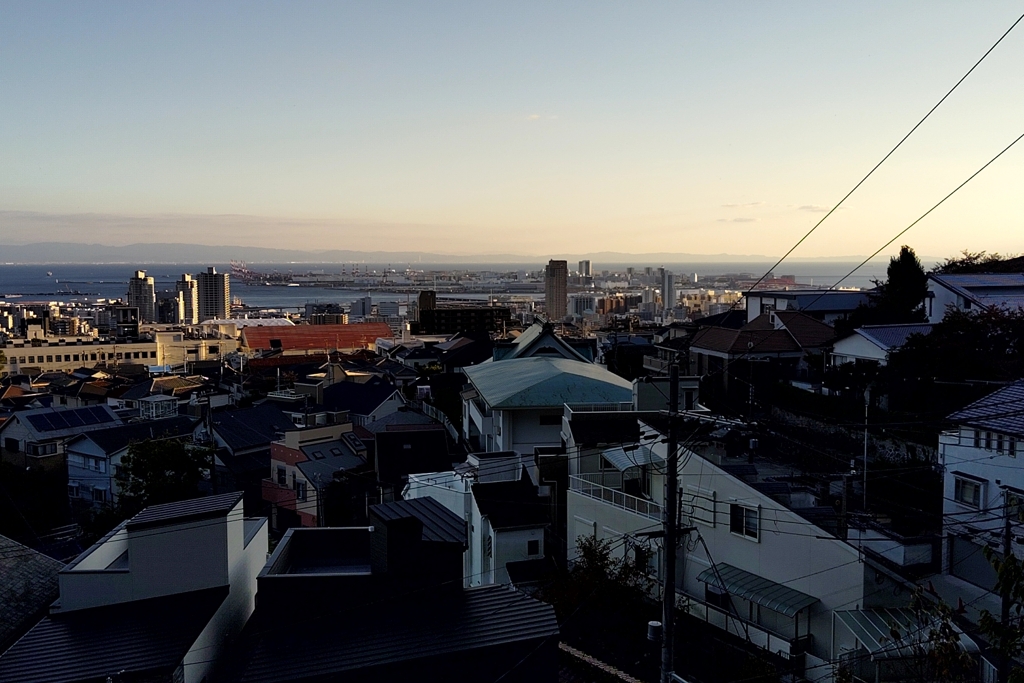 都市部を望む