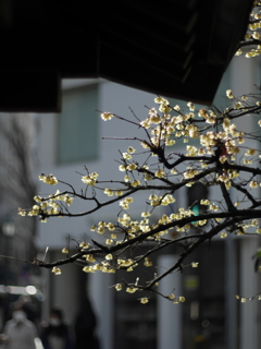 三宮神社1