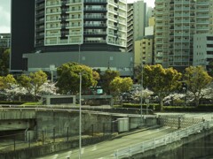 ANAホテルの通路から
