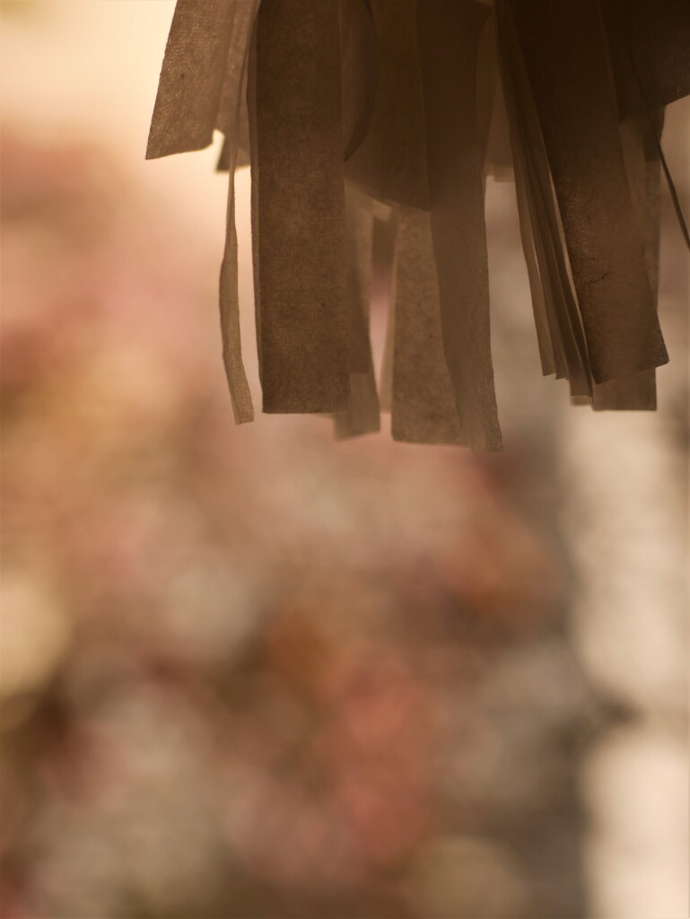 春風薫る