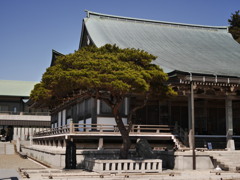 摩耶山天上寺