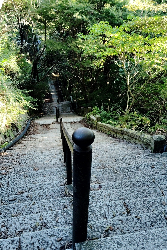 摩耶山ハイキング