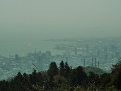 摩耶山山頂より