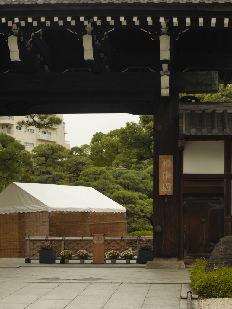 相楽園