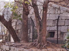 花隈公園