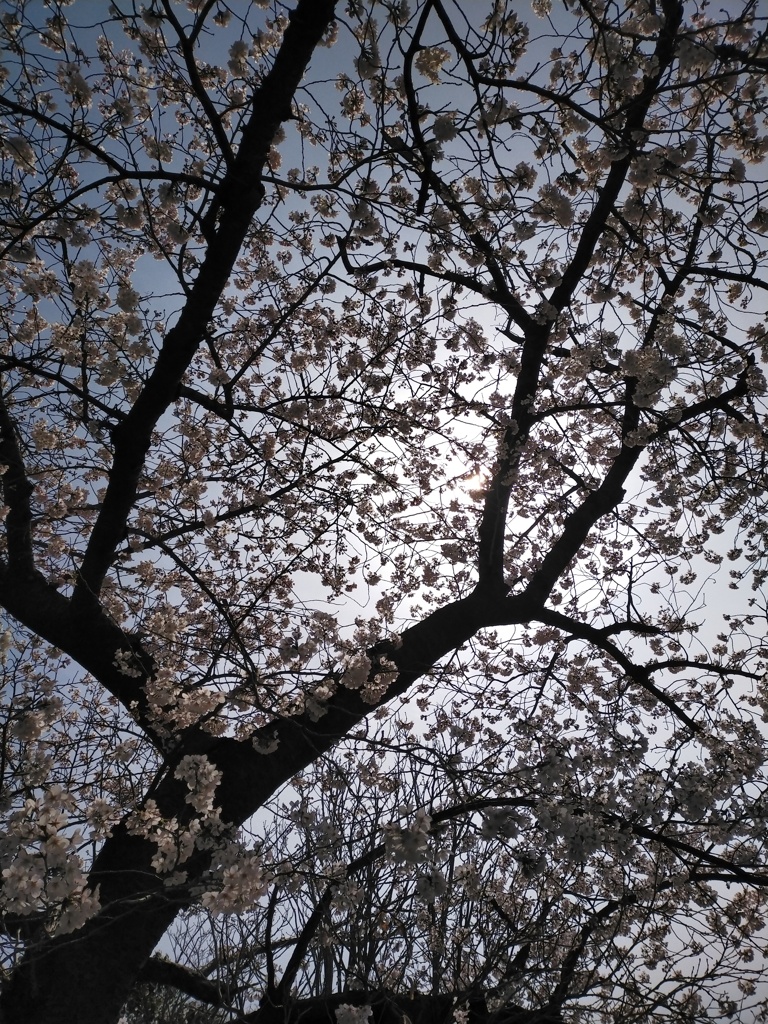今日の景色