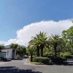 summer sky