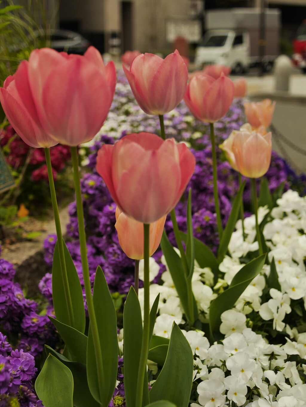 朝日ビル前の花壇