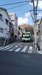 正月　撮り歩き