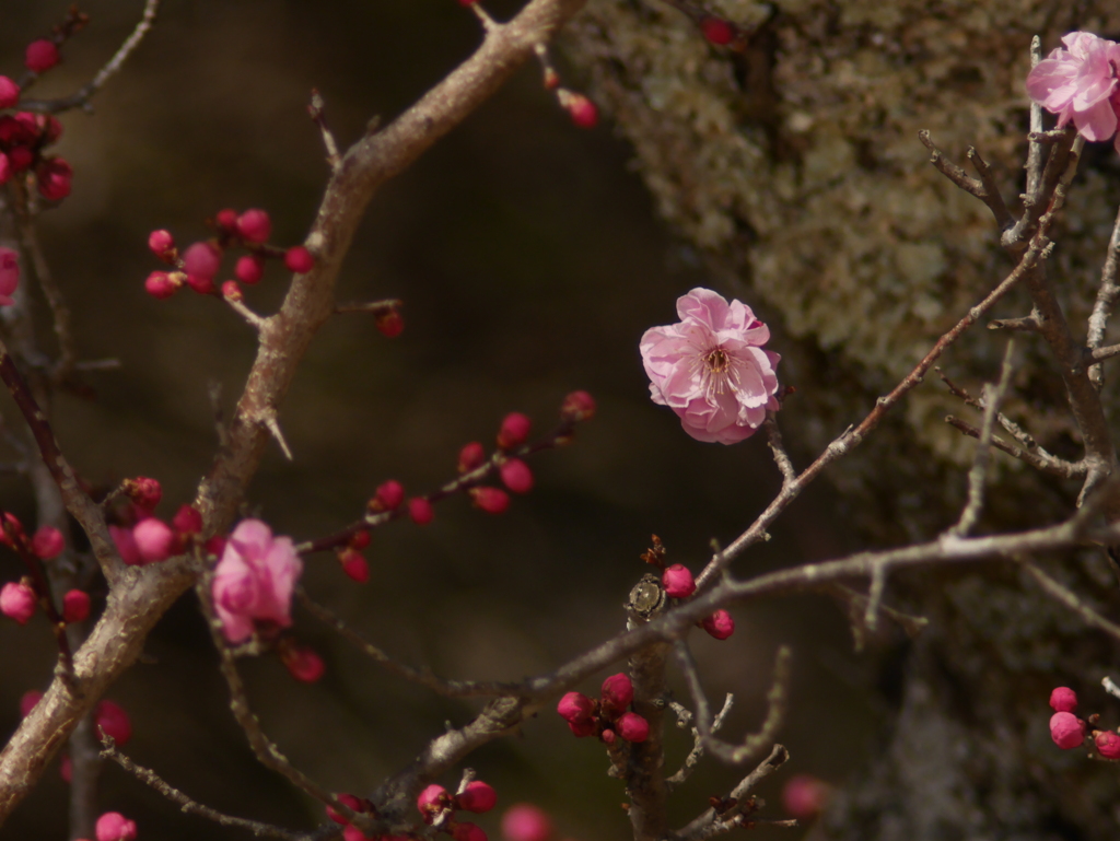 摩耶山頂にて