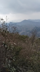 摩耶山ハイキング