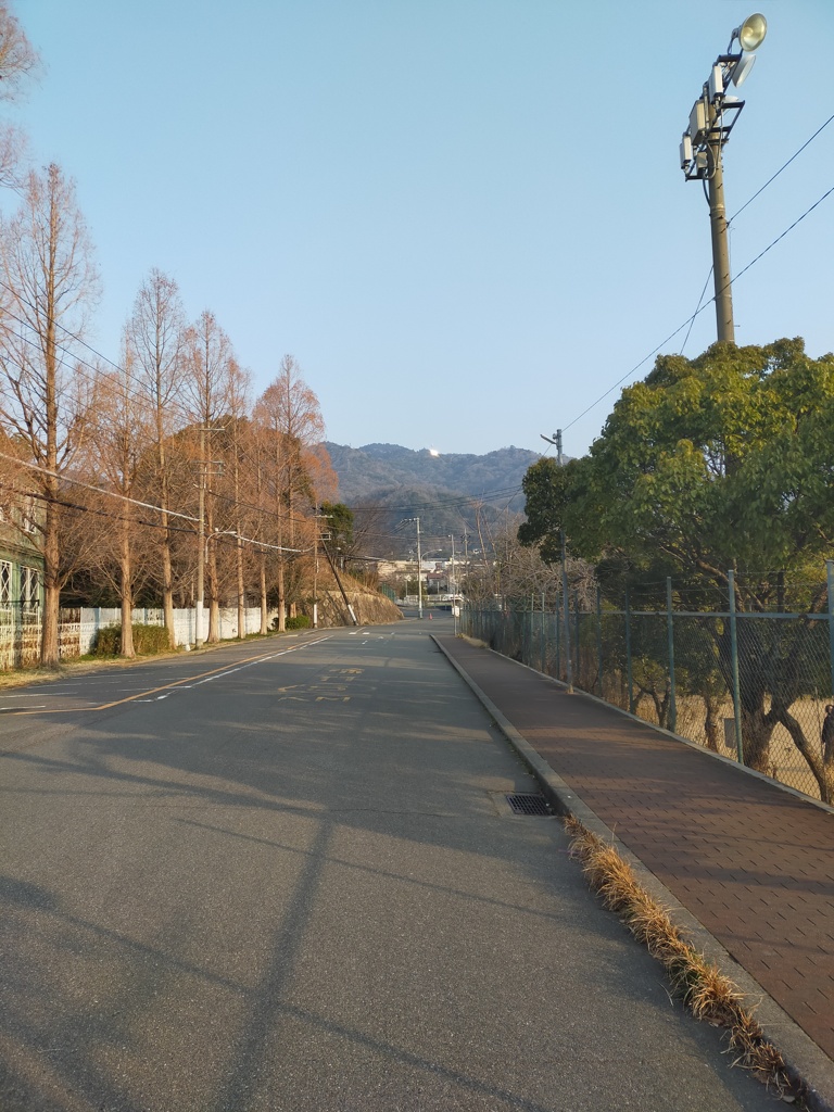 目て歩き―1