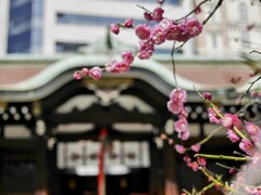 三宮神社