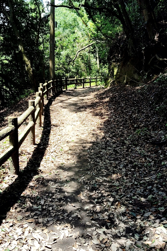 烏ヶ原水源地周回路
