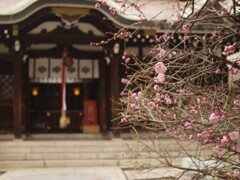 三宮神社と紅梅