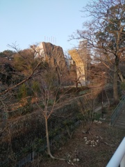 クライミング　ウォール