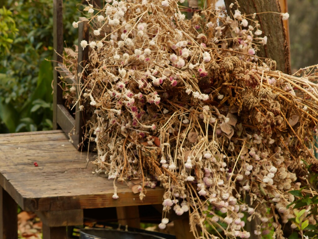 枯れ花置き