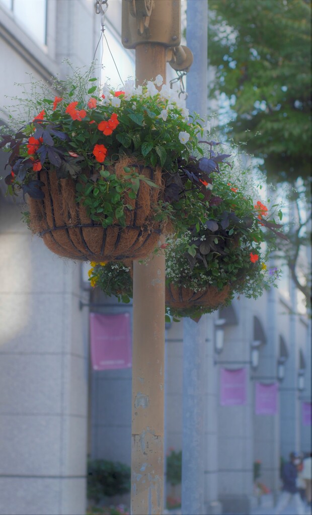 street flower arrangement