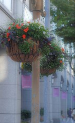 street flower arrangement