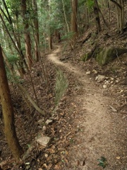 登山道