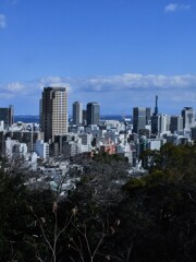 神戸都市部