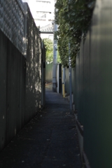 路地