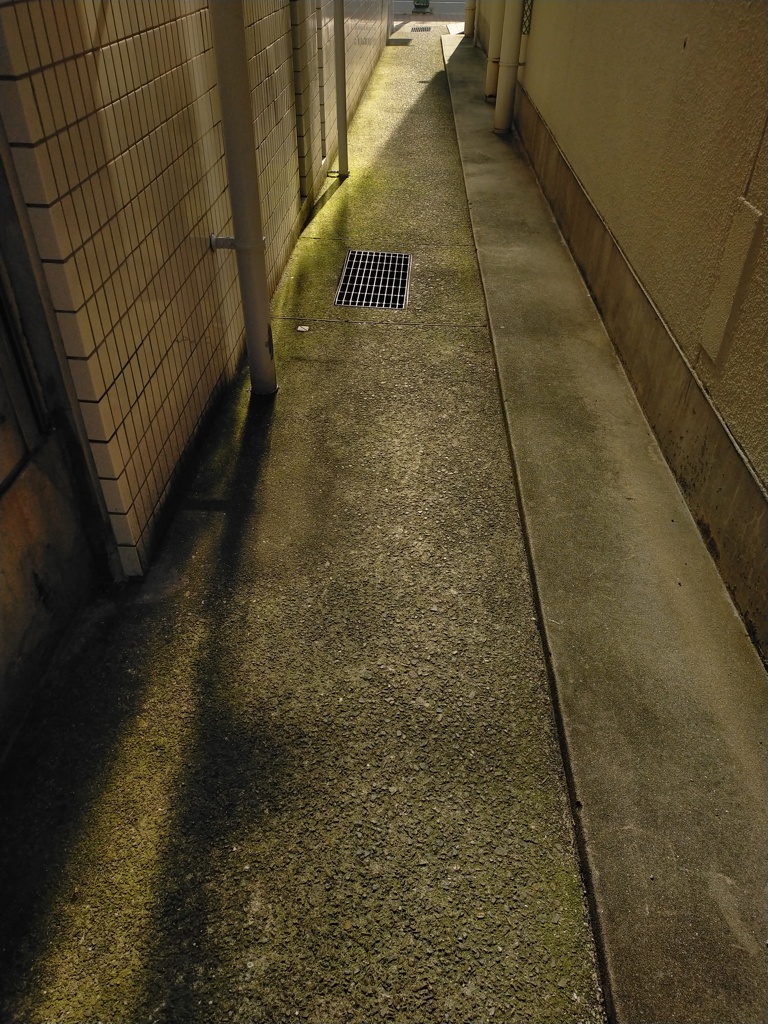 通路