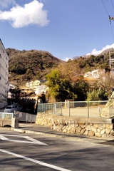 正月　撮り歩き