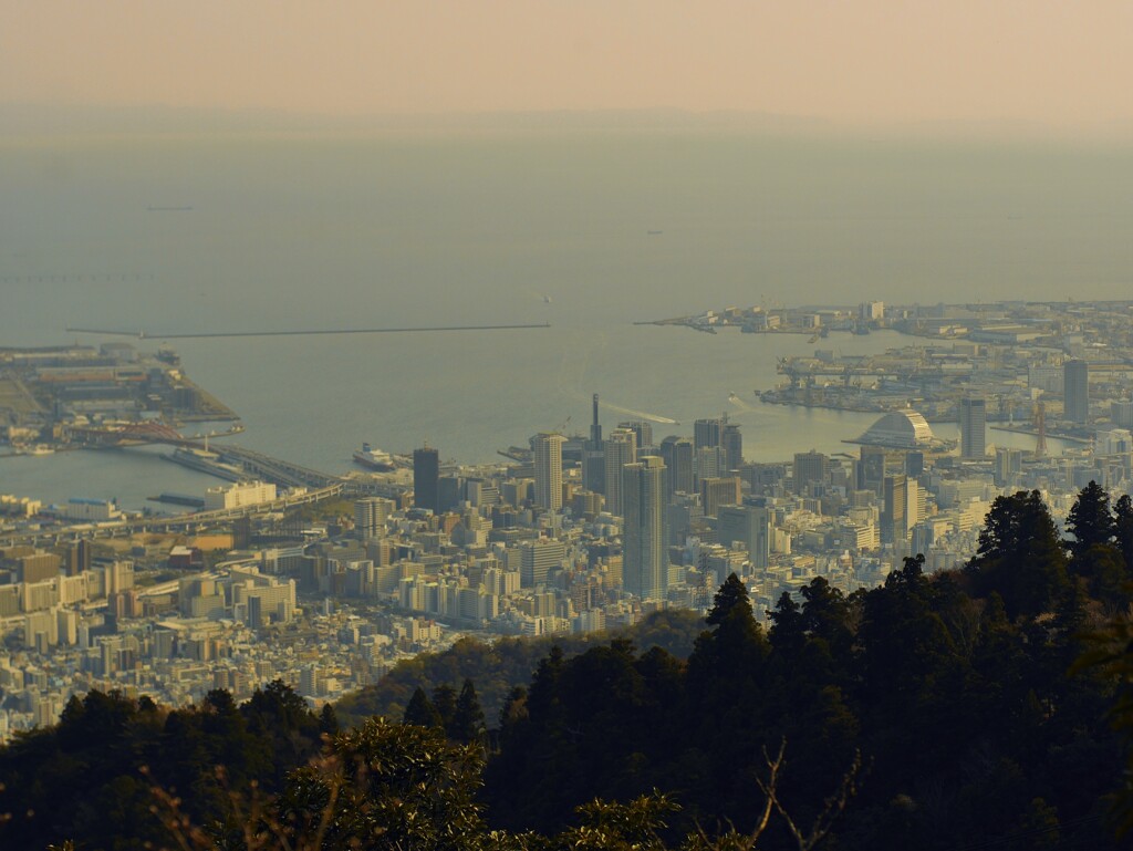 摩耶山山頂より