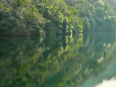 貯水池に映る新緑