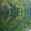 貯水池に映る新緑
