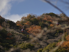 布引から見たハーブ園行ロープウェイ