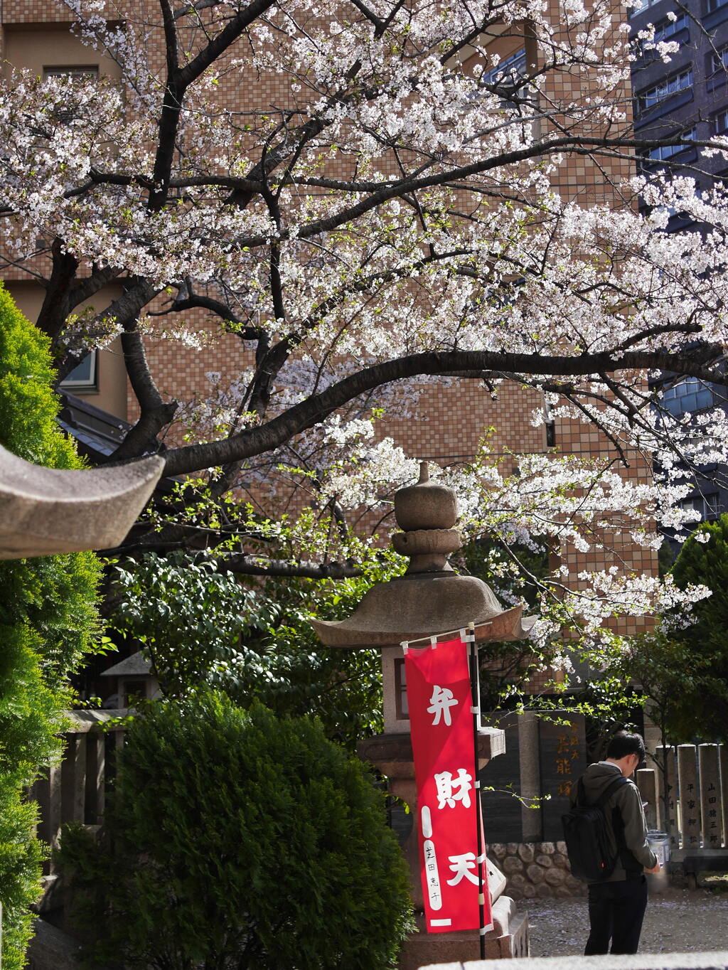 桜の四ノ宮神社