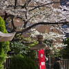 桜の四ノ宮神社
