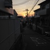 散歩にて3