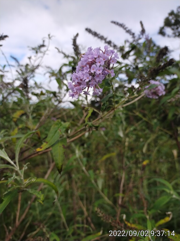 摩耶山にて