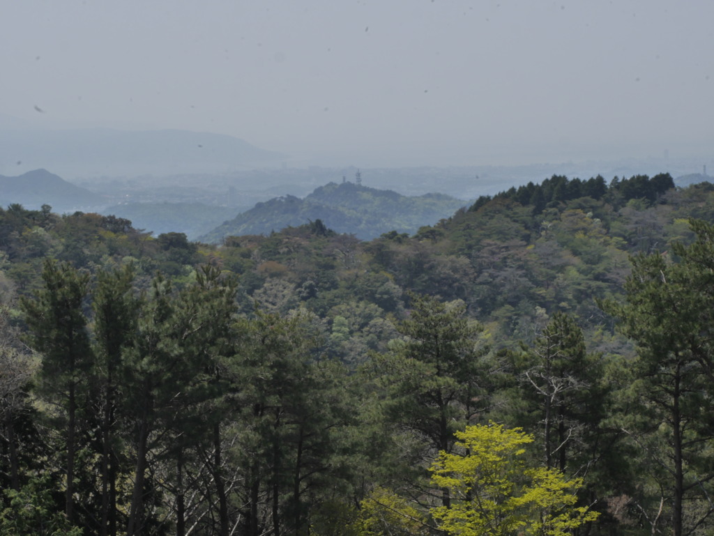 摩耶山天上寺から