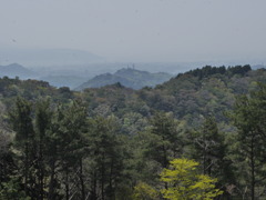 摩耶山天上寺から