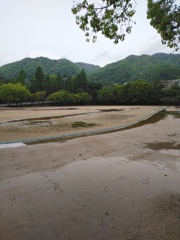 雨の後のサブグランド