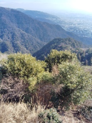摩耶山ハイキング