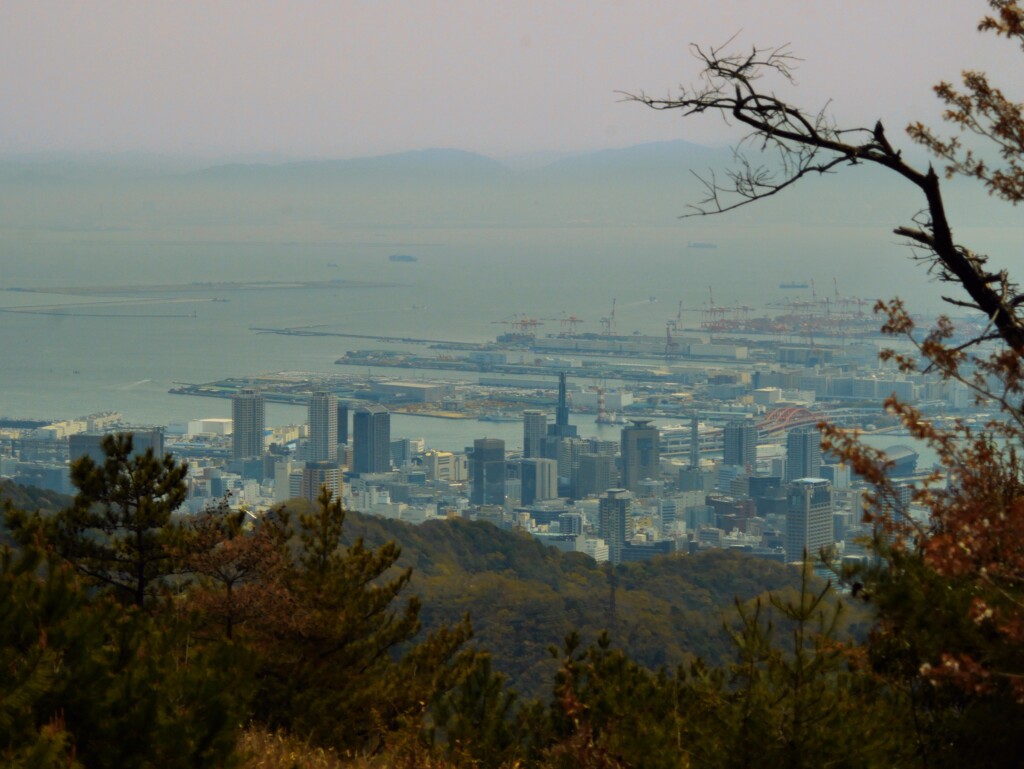 山から見た市街地