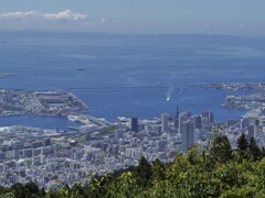 掬星台からの眺め